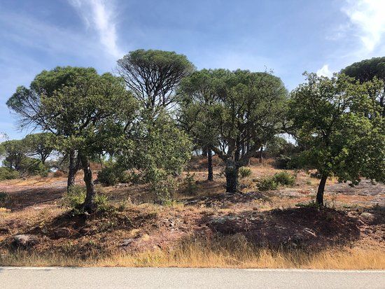 le col du Bonhomme