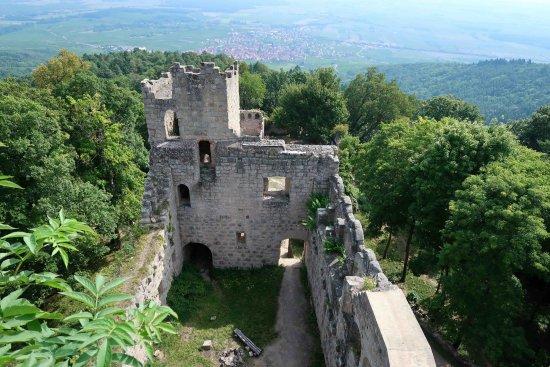 Burg Bernstein