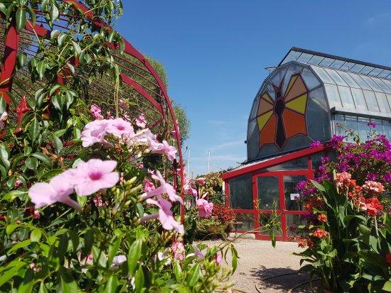 il Giardino delle Farfalle