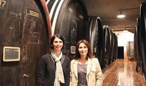 Domaine Josmeyer
