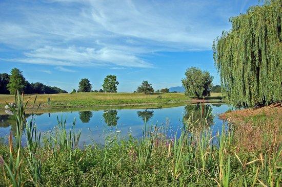 Alsace Golf Links