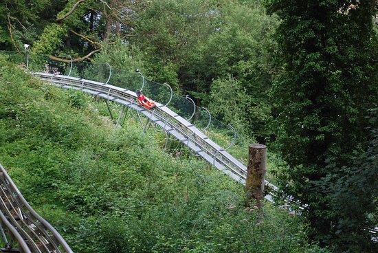 Luge Alpine du Plan Incline