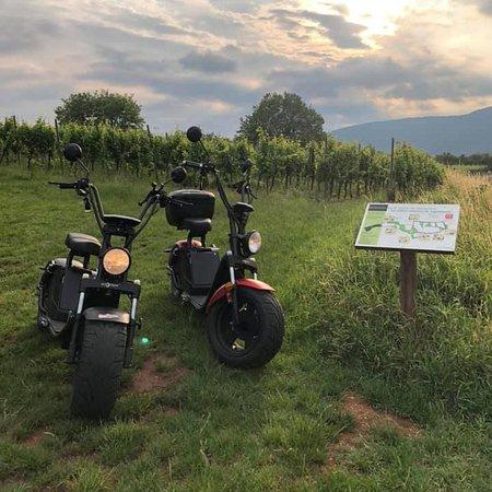 Riqu'EcoTour