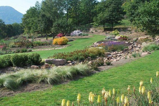 Lilaveronica Garden