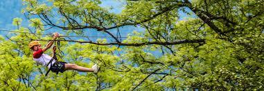 le parc Alsace Aventure