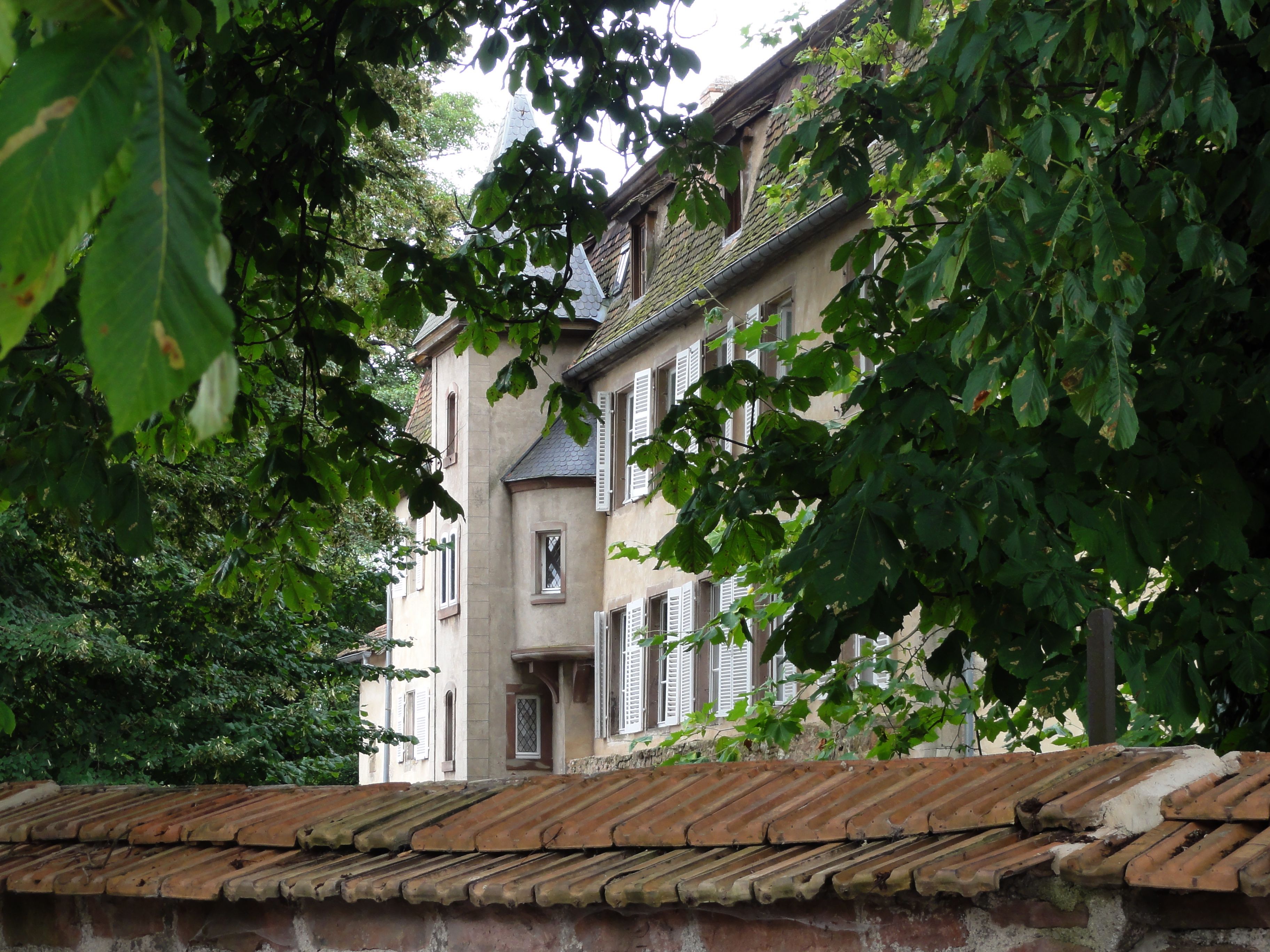 Schloß Grünstein